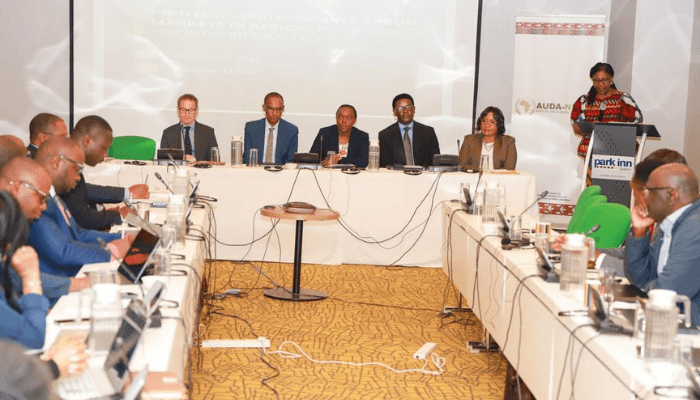 Africa Unveils Landmark Integrity & Equity Principles and Coordination Platform to Strengthen Carbon Markets