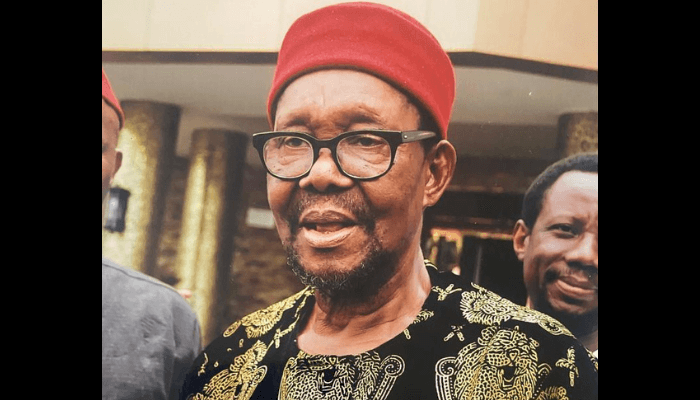 Nwala, Utomi, others to headline conference on unification of Igbo-speaking people