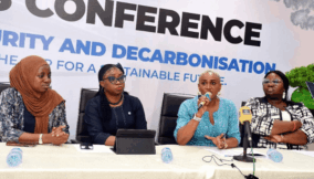 Stakeholders push for financing, policy reforms, innovation to power Africa’s sustainable future