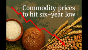 Commodity price to hit 6-year low (1)