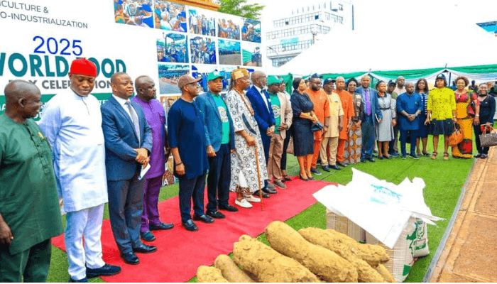 Enugu calls for holistic approach to tackle poverty