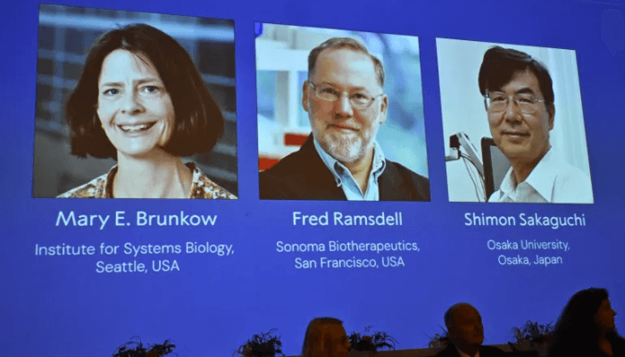 Immune system researchers win 2025 Nobel Prize for medicine