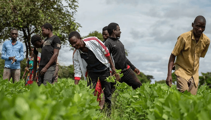 Nigerian agri-tech start-up, among World Food Prize finalists