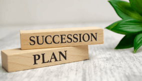 Beyond politics: The economics of national succession planning