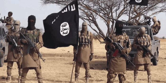 Boko Haram kills one, rustles 1,400 herd of sheep in Borno village