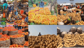 Akwa Ibom Assembly urges State Government- private sector collaboration to boost food security