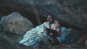 The Herd movie