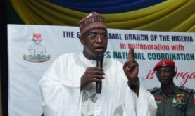 65% of animals consumed in Nigeria is imported  – Minister
