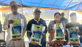 Lagos launches rice fortification plant to tackle rising malnutrition