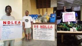 NDLEA arrest suspects