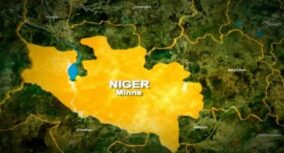 Senate condemns massacre of 56 people in Niger