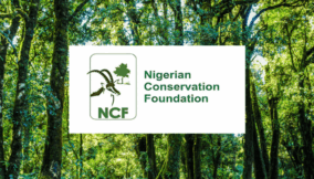 NCF, Ford Foundation canvass policy on plastic-bag charges for climate financing