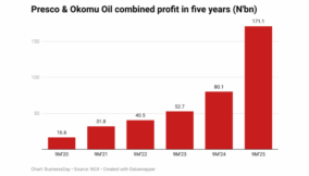 Nigeria’s palm oil producers (1)