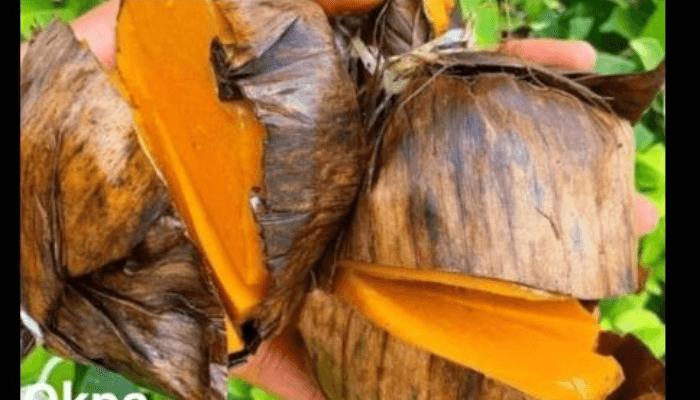 Okpa: Proudly Nigerian superfood that can gain UN cultural status