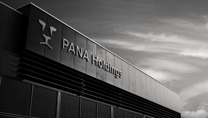 PANA Holdings names Maduagwu, Adetoke, others in new appointments