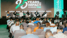 Nigeria’s $3.6bn energy boost fuels calls for clearer policies, faster reforms