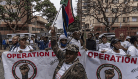 Hassan Ayariga, Operation Dudulla and danger of Africa’s xenophobic politicians