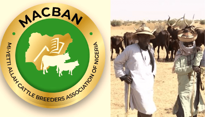 Miyetti Allah: Inside Nigeria’s most controversial cattle breeders group