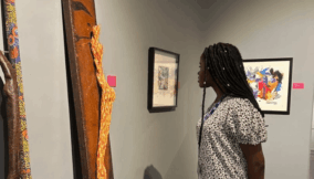 Yemisi Shyllon Museum of Art