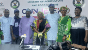 Lagos rolls out 25% subsidy on key stables ahead of festive season