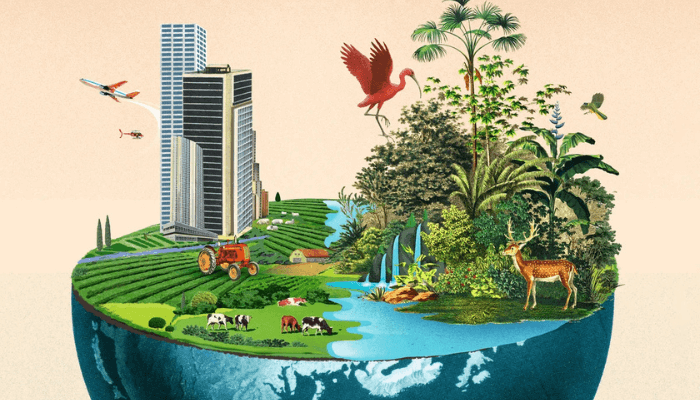 Nigeria looks to business to implement biodiversity commitments