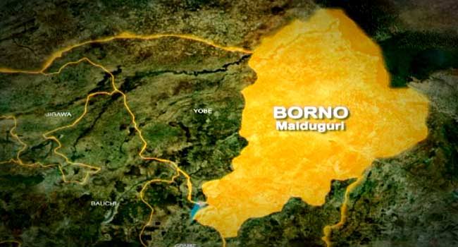 NGO secures $1.5m life-saving intervention in Borno to support vulnerable groups