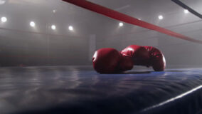 Boxing (4) (1)