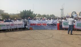 CSOs seek ban on GMOs