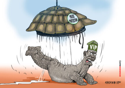 The VIP minus its shell