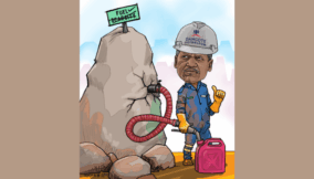 Dangote restores petrol price to N1,175 as depots halt sales