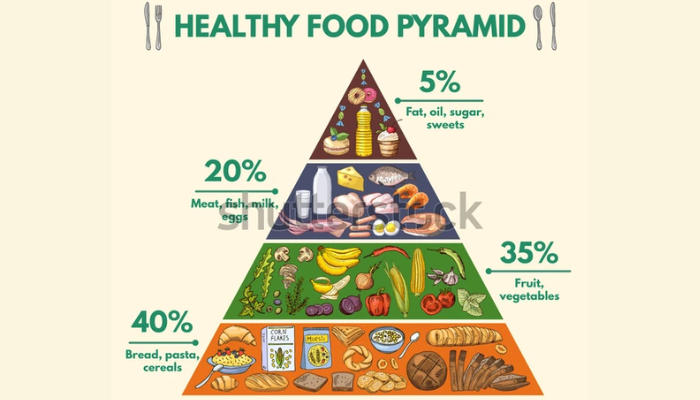 Climbing the Food Pyramid: Can you?