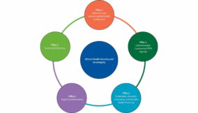 Africa’s healthcare sovereignty hinges on 5 pillars