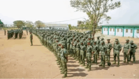 FG deploys over 7,000 forest guards to reclaim forests from terrorists, bandits, other criminal elements