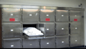 Mortuary, a place of solemnity, turned into chamber of organ-harvesting 