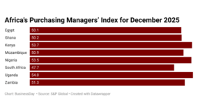 South Africa posts weakest business activity in Africa, PMI falls to 11-month low