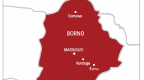 Borno Maiduguri