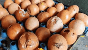Crack on uncooked egg in the digital age: Breaking fragile ideas into transformative innovation