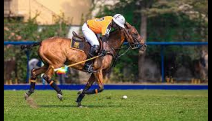 Lagos Polo Club