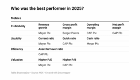 CAP, Berger & Meyer: Which performed better in 2025?
