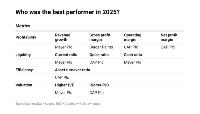 CAP, Berger & Meyer: Which performed better in 2025?