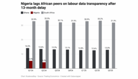  Africa’s giant delays unemployment data 14 months on
