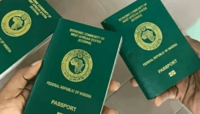 Nigerians can explore 20 African countries in a month