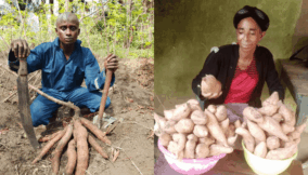 We no longer beg food – Abia LIFE-ND homestead farmers