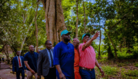 Mokgweetsi Eric Masisi design