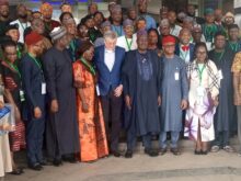 Nigeria targets $253.4m global yam economy with push to double yields, cut losses, grow exports