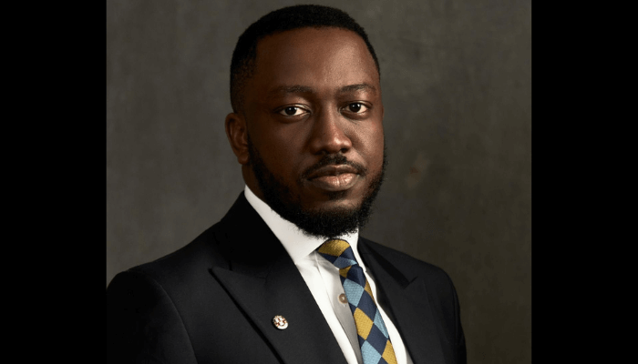 Banks can grow revenue through digital and risk pricing — Akin Adegoke