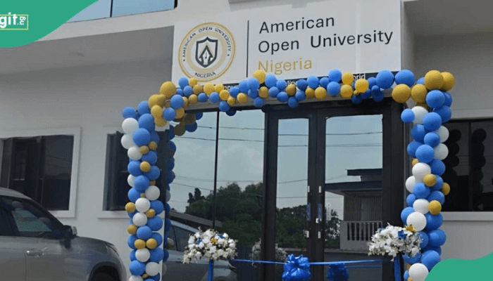 How American Open University is set to disrupt Nigerian education
