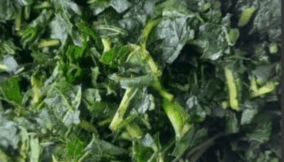 Nigeria is home to Bitter leaf