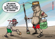 Goliath of NASS