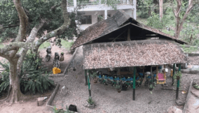 How a Nigerian family saved a forest the world just noticed